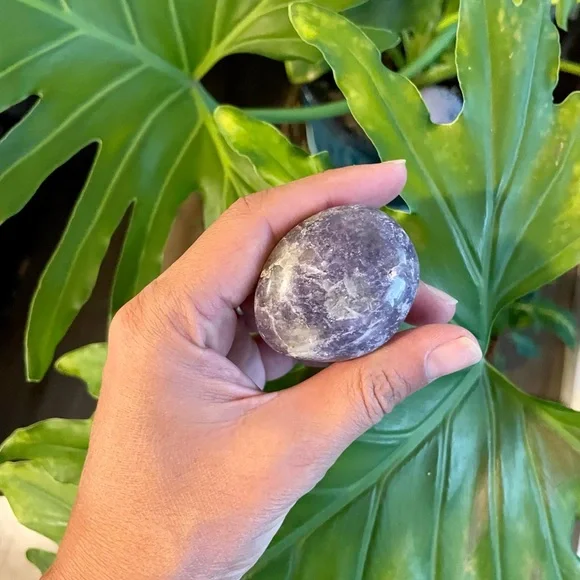 The Gift of Prosperity - Picture 6 of 9